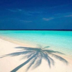 Meet your Posher, Sandy